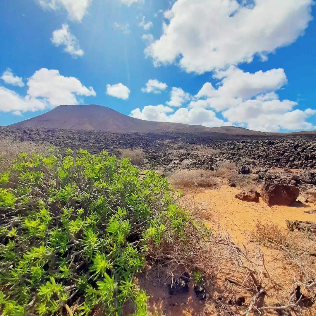 Casa Alma Corralejo Bristol Daire Dış mekan fotoğraf
